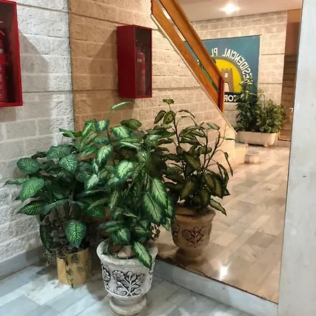 Concordia Apartament